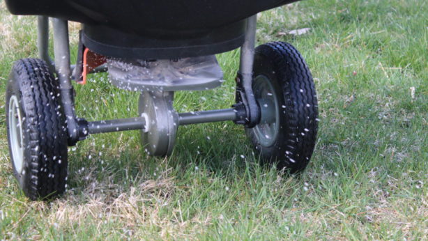 fertilizing lawn