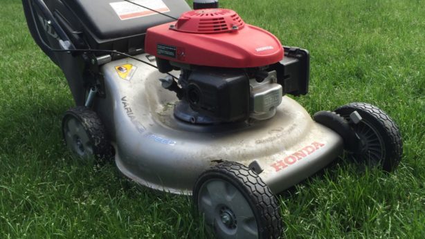 Mowing the lawn
