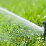 Water your lawn