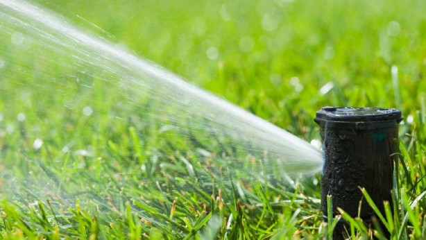 Water your lawn